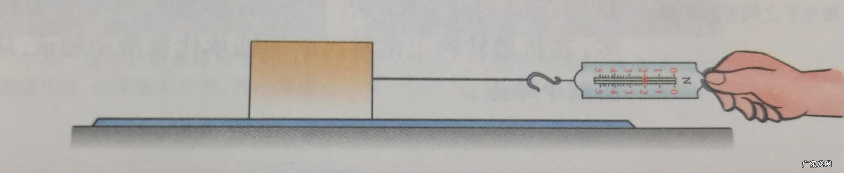弹簧测力计可直接测量什么力?测量其他的力只能用什么?