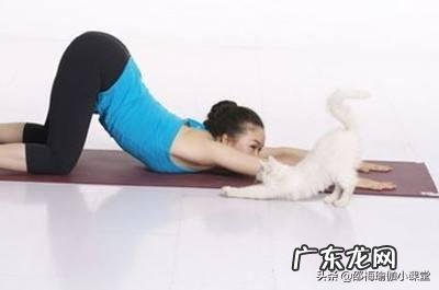 南韩十大神颜女爱豆 大家觉得韩国女爱豆中到底谁才是韩国diyi神颜?