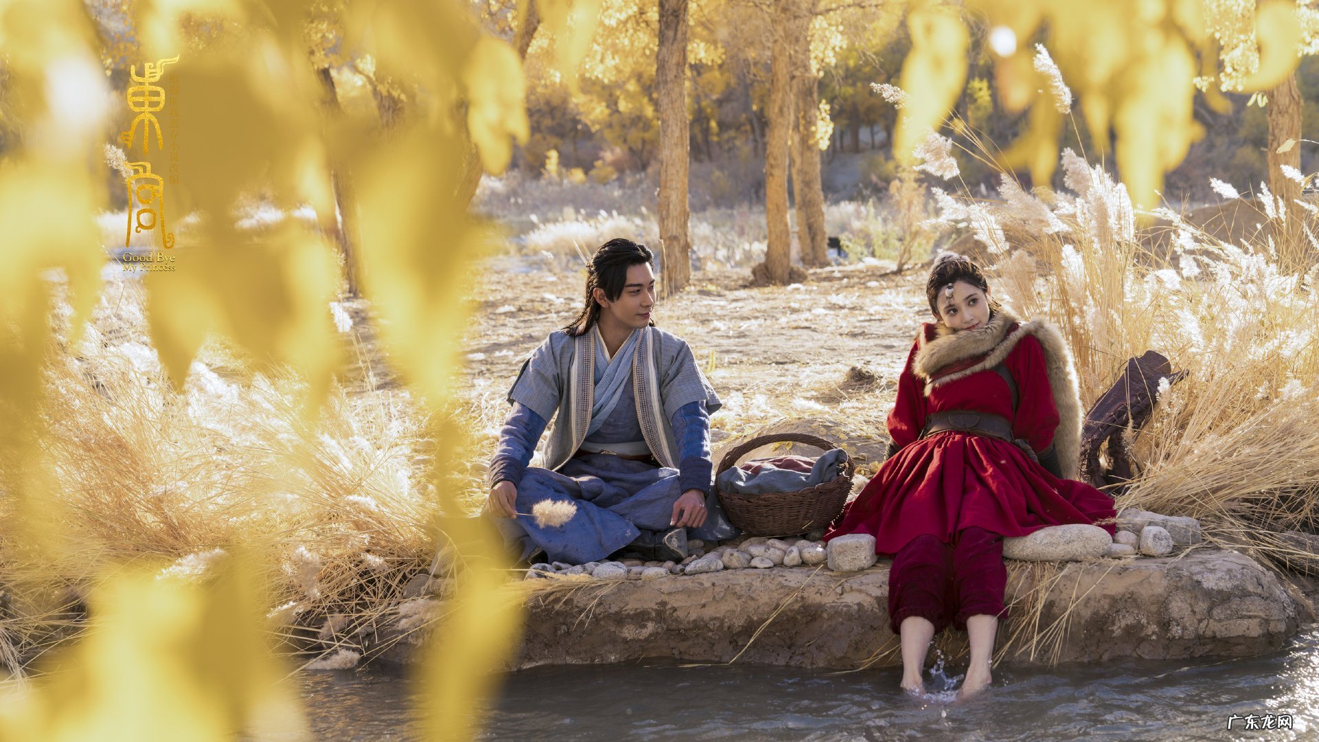 山楂柠檬菊花能泡水喝吗 山楂,柠檬,陈皮,菊花,这些可以泡在一起喝吗?