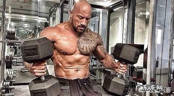 早餐吃一个玉米,一个鸡蛋,一杯蛋白粉,这样好不好?速求? 早餐吃鸡蛋玉米