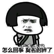 如何在减脂的时候最大化的防止肌肉分解？