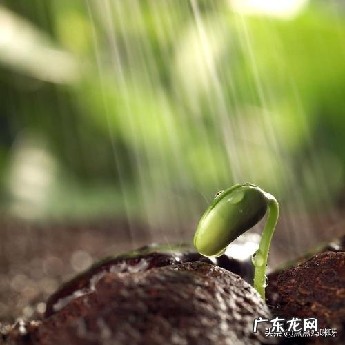 预产期快要生的时候是什么感觉？