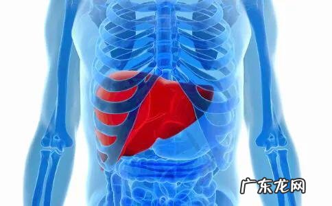 肝硬化到什么样程度才检查出是晚期?