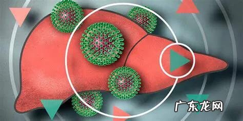 肝硬化到什么样程度才检查出是晚期?