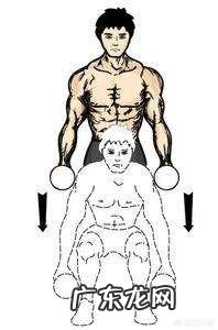 没钱去健身房怎么在家健身 没时间去健身房,如何在家打造一个健身空间?