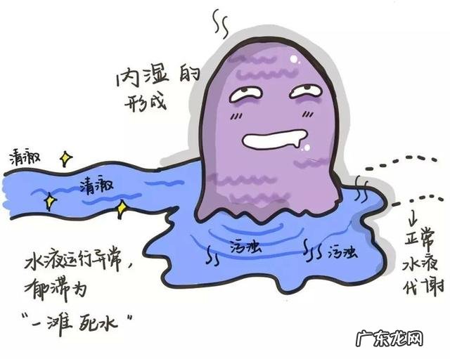 减重11斤，减的到底是水还是脂肪？