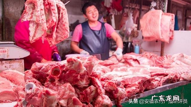 猪圈的肥猪现在出栏怎么样