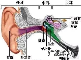 孩子上幼儿园老坐不住，总爱动，该怎么办？