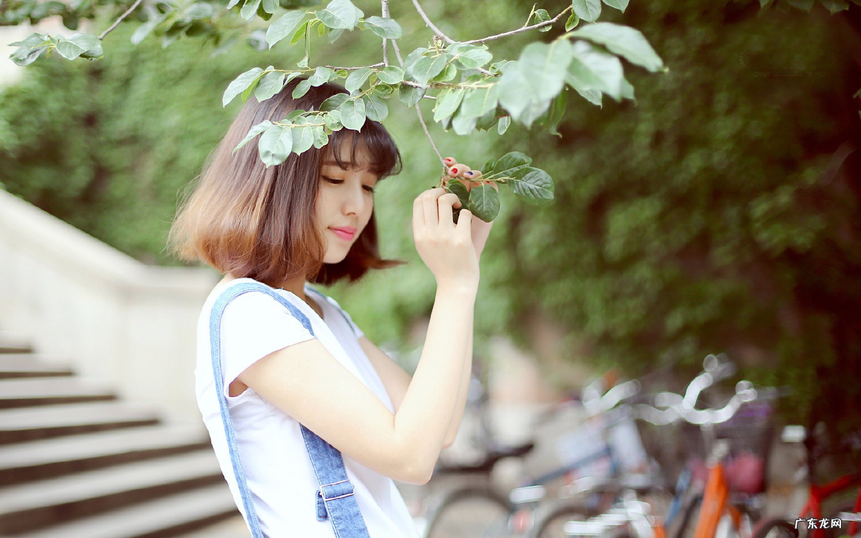 怎么样喝芹菜汁减肥效果最好