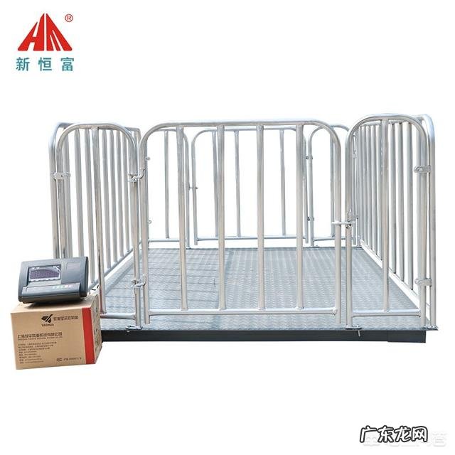 养殖户经常使用的围栏地磅秤都有哪些型号的
