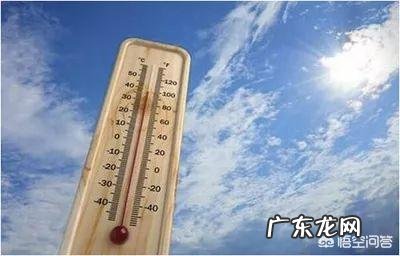 有人说,三伏天,吃“三肉、三茶”能避暑邪,具体是什么?