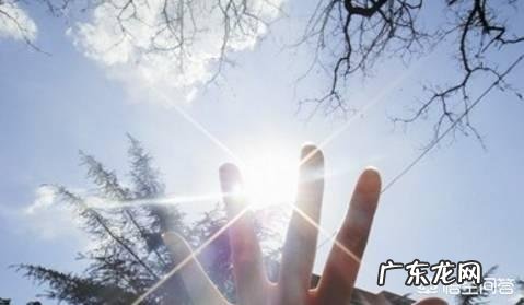 有人说,三伏天,吃“三肉、三茶”能避暑邪,具体是什么?