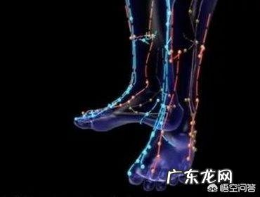 有人说,三伏天,吃“三肉、三茶”能避暑邪,具体是什么?