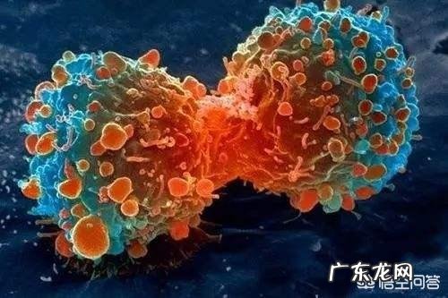 恶性肿瘤是如何转移和扩散的?扩散时都有哪些症状?