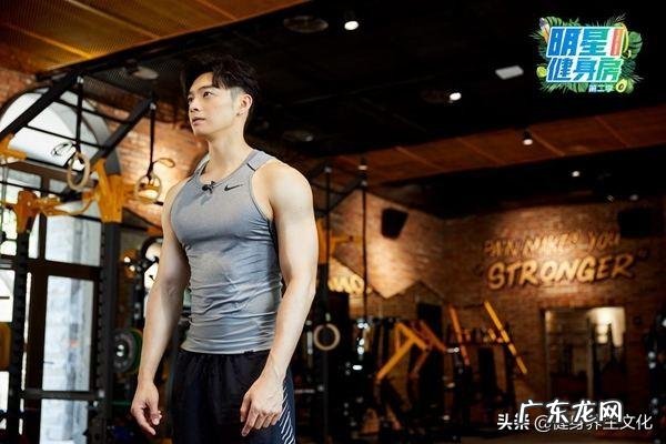 体脂和肌肉量都很高,该怎么健身? 体脂高怎么练出肌肉