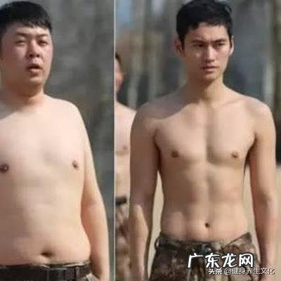 体脂和肌肉量都很高,该怎么健身? 体脂高怎么练出肌肉