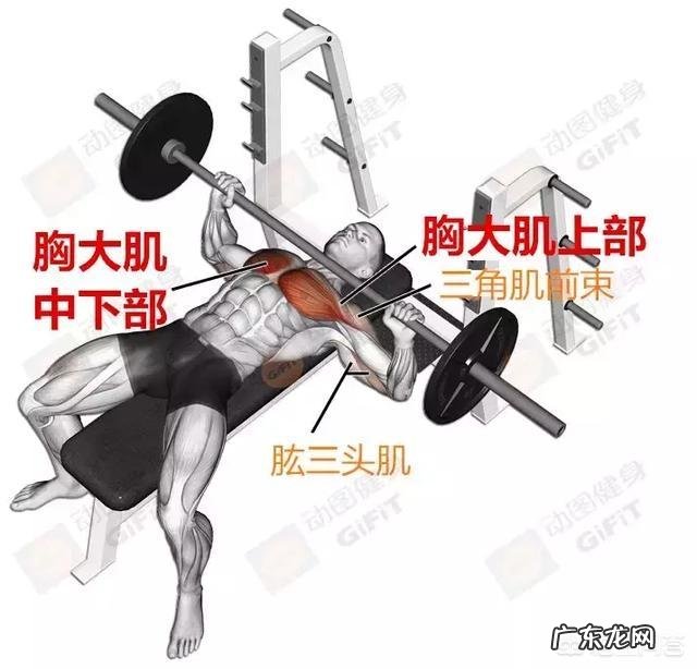 到健身房想减肚子,可以做哪些项目?