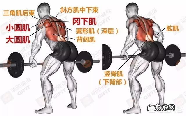 到健身房想减肚子,可以做哪些项目?