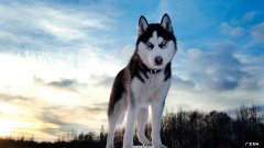 产后最佳减肥方法,产后怎样减肥最快