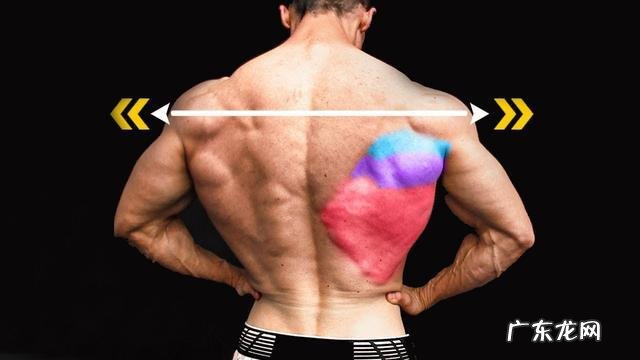 在家练哑铃练背的动作 只有哑铃，在家徒手练背肌能成功吗？