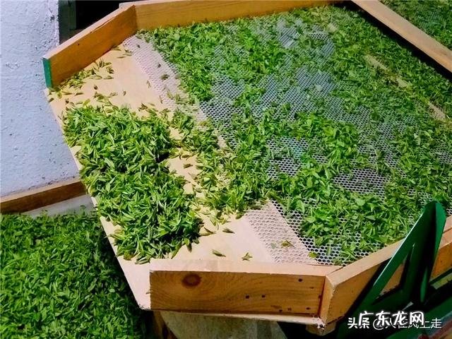 喝100元以内一斤的茶是什么感觉?