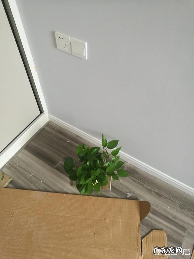 家里马上就要装修了。请问哪个牌子的插座性价比高?