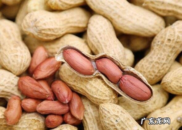 哪些食品营养有利于发育的孩子长个?