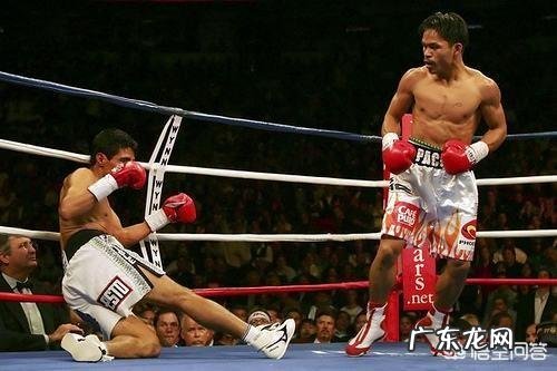 李景亮,一龙,方便,播求,康纳,小鹰,到底谁的综合实力更强?