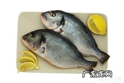 孕8周胎宝宝发育状况,准妈妈要注意什么?