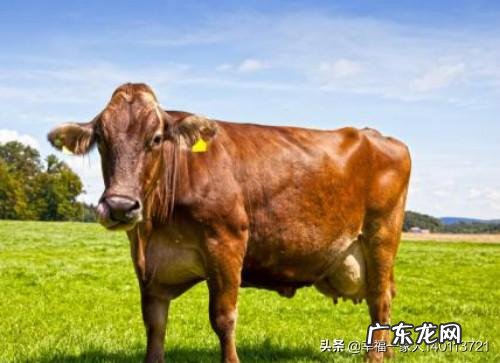 惠若琪的亲自提名的大头王辰玥,怎么销声匿迹