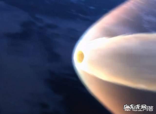 嫦娥五号返回时有被别国截获的可能吗