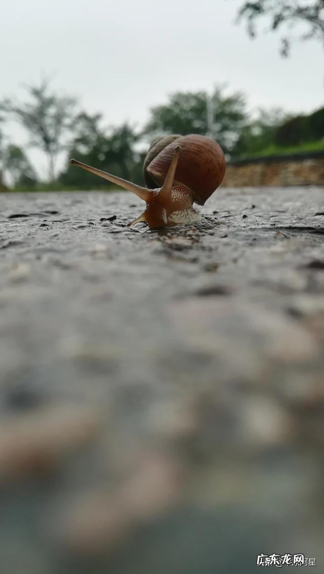 如何养成一个良好的寝室文化?