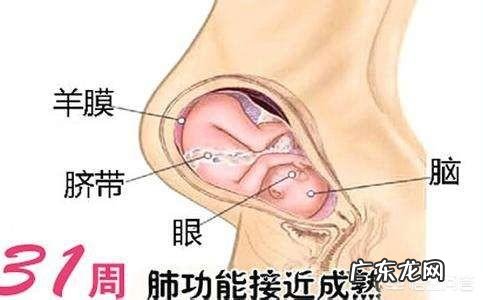 怀孕32周早产,宝宝体重4.8斤,进了保温箱,多久可以回家?