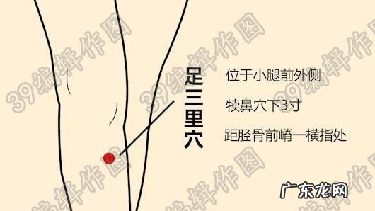 在中医眼中肥胖就是脾虚的表现吗?