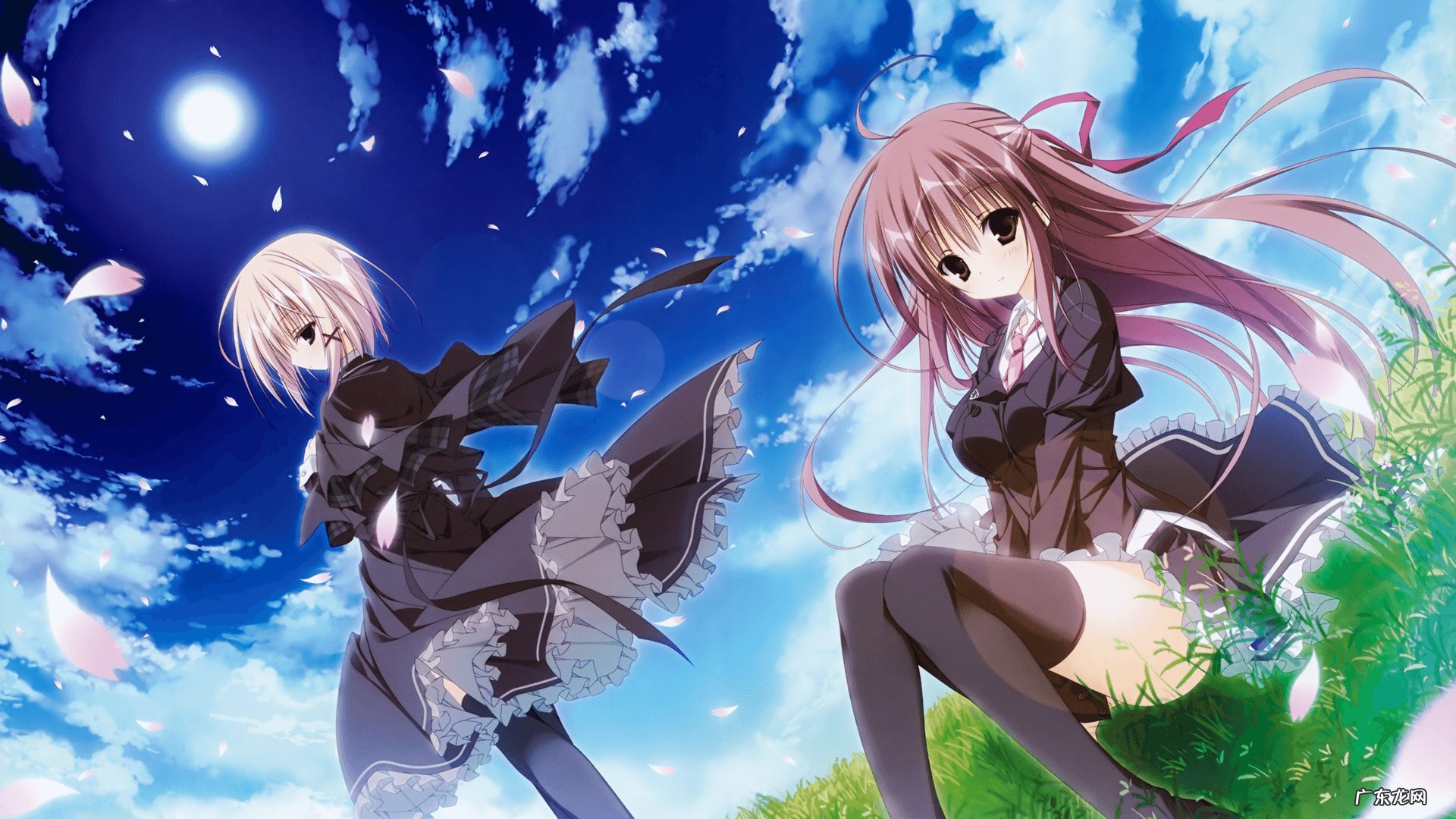 小米和藜麦能一起吃吗?有什么功效和作用?