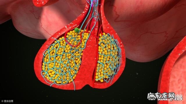 咯血真的只是支气管扩张吗