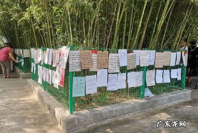 在郑州只有10小时怎么玩？