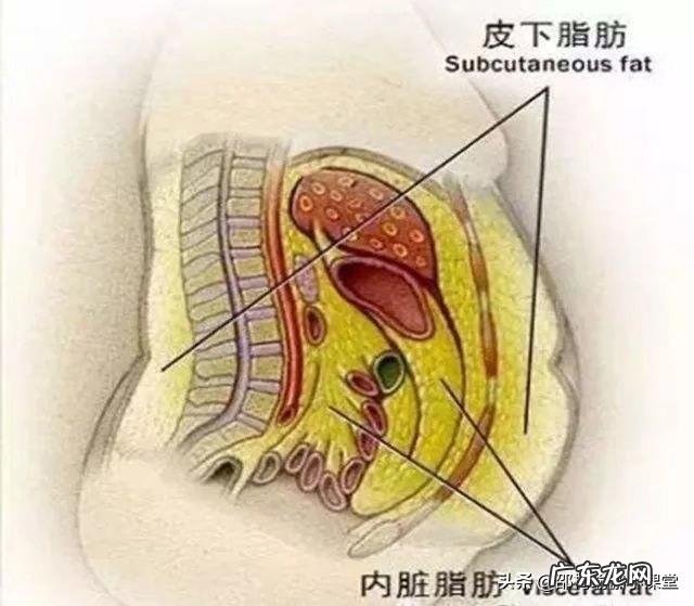 低血压对身体有什么危害?