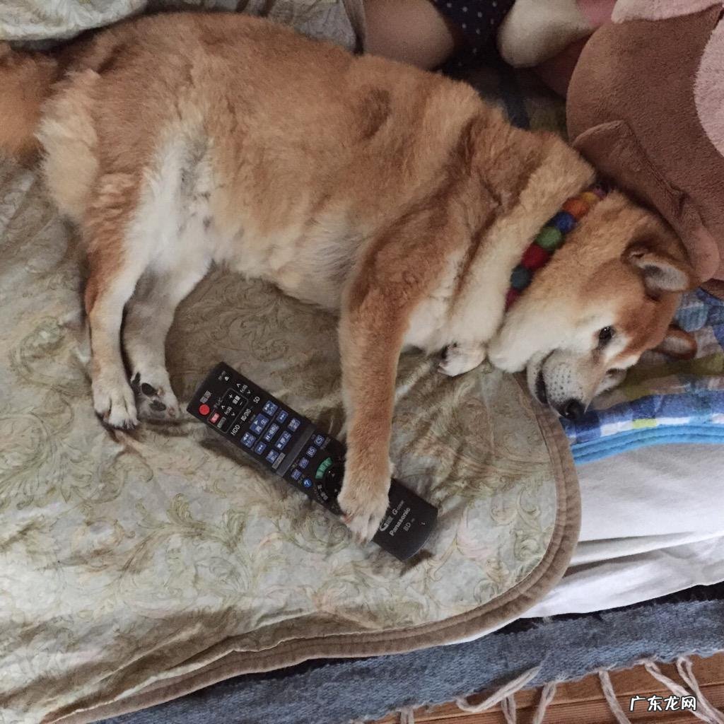 最有效无害的减肥方法是是什么啊?