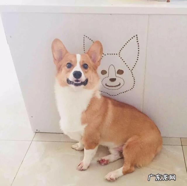 六个半月宝宝的28斤,怎么减肥?