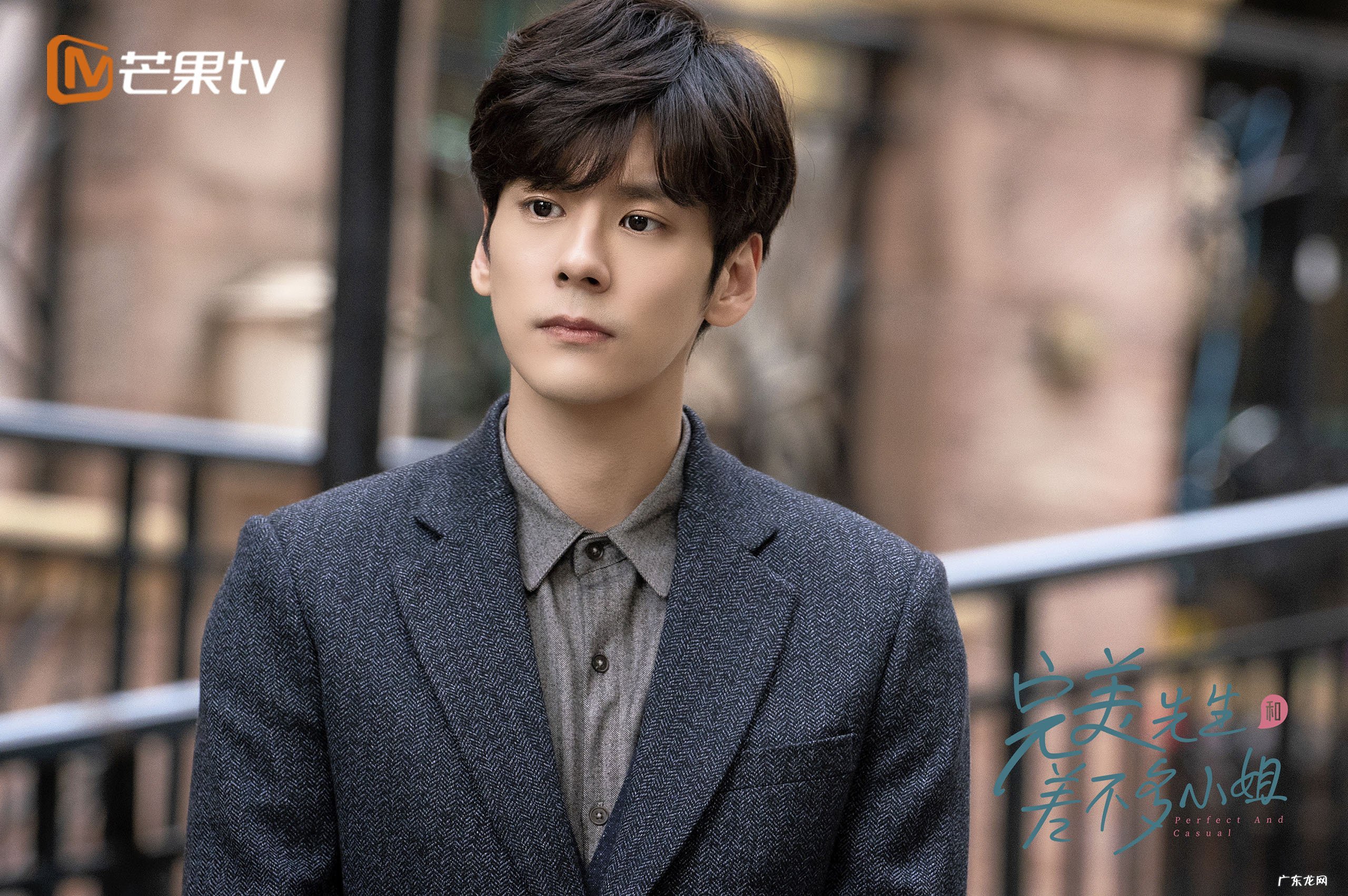 吃全麦面包会不会减肥更加容易。