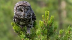 开足疗店需要什么手续和证件？