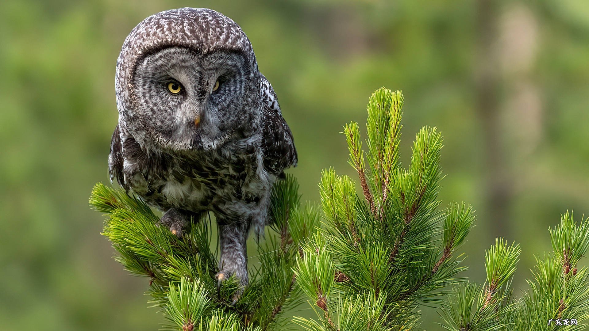 开足疗店需要什么手续和证件?