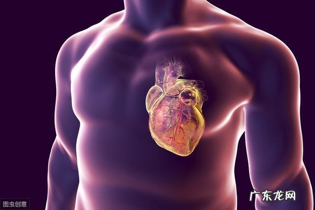 跑步坚持多长时间会有成效呢,有哪些科学依据