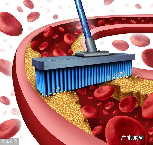 跑步坚持多长时间会有成效呢,有哪些科学依据