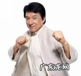 你最喜欢香港八九十年代哪个动作类明星?