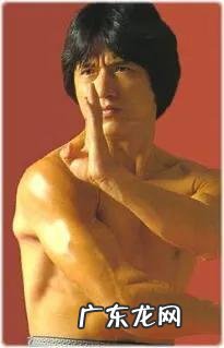 你最喜欢香港八九十年代哪个动作类明星?