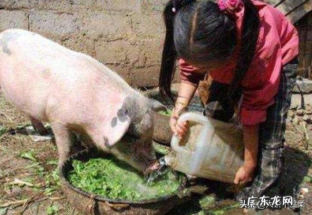 回忆童年给你带来的最大的影响是什么？