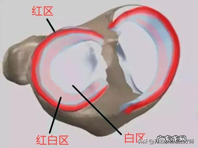 本人半月板损伤、膝盖积液,有没有可以代替跑步的有氧运动谢谢?