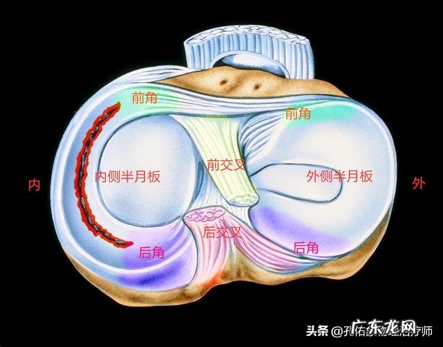 本人半月板损伤、膝盖积液,有没有可以代替跑步的有氧运动谢谢?
